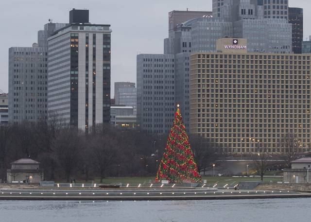 3363730_web1_PTR-PointStateParkTree01-122320