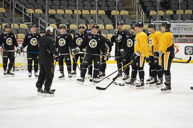 3409030_web1_gtr-Penguins08-010921