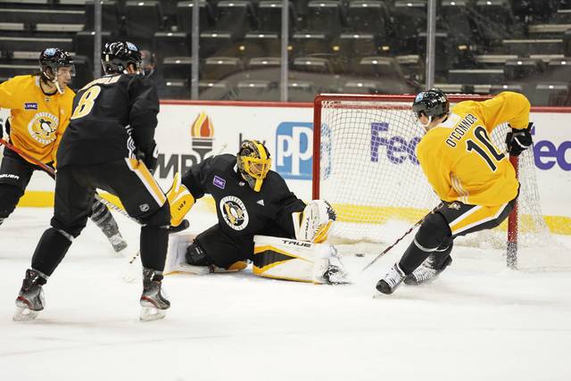 3411082_web1_gtr-Penguins06-010721
