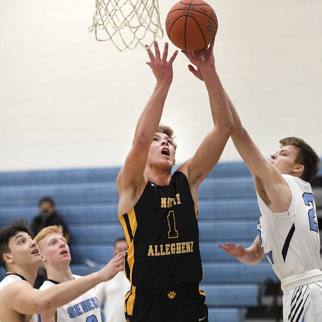 Now healthy, Habib steps into new role for North Allegheny