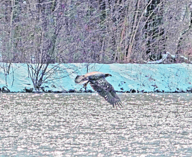 3431517_web1_gtr-eaglesoarstv1-071119
