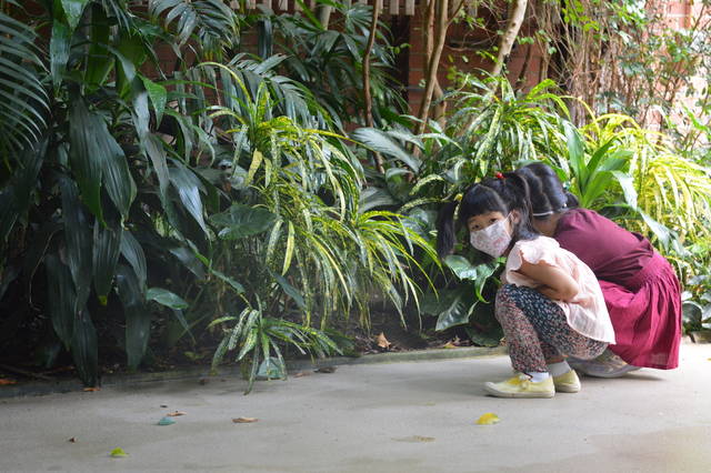 3451402_web1_NationalAviary_VisitorsInTropicalRainforest