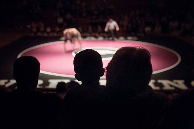 North Journal notebook: North Allegheny wrestlers sweep 3 duals