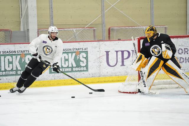 3452082_web1_gtr-Penguins02-012221