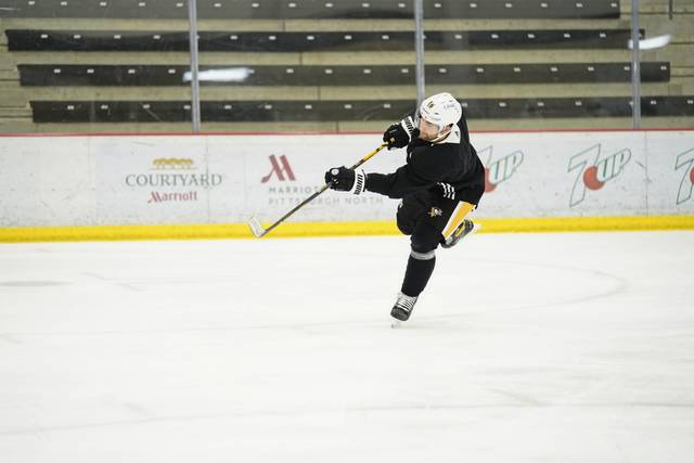 3462327_web1_gtr-Penguins06-012221