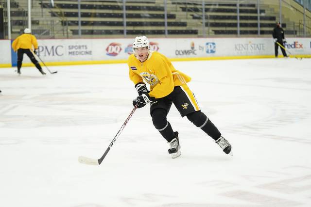 3467246_web1_gtr-Penguins07-012221