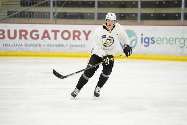 3500418_web1_gtr-Penguins04-012221