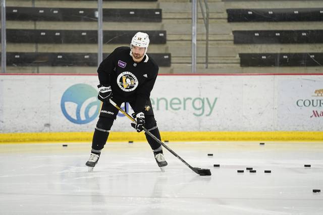3508218_web1_gtr-Penguins01-020621