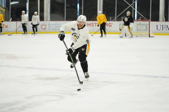 3515886_web1_gtr-Penguins05-020621