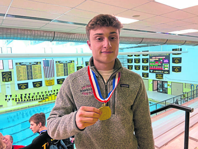 Fox Chapel’s David Manelis set to defend his WPIAL diving title