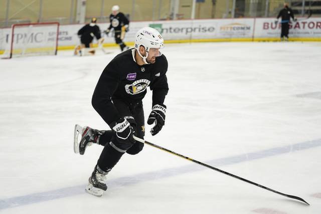 3527369_web1_gtr-Penguins06-020621