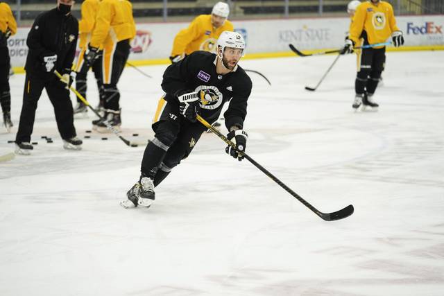 3535983_web1_gtr-Penguins04-021121