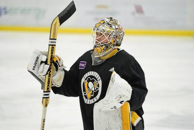 3538453_web1_gtr-Penguins12-021121