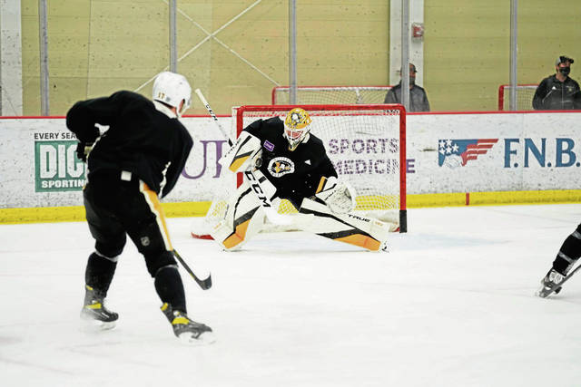 3541150_web1_gtr-Penguins07-021621