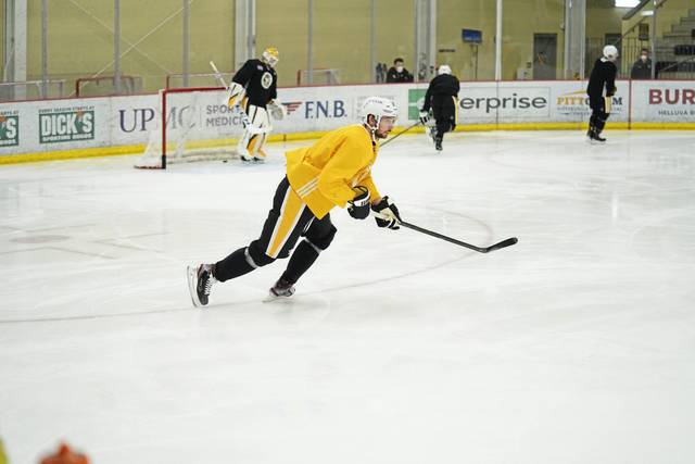 3543827_web1_gtr-Penguins01-021621