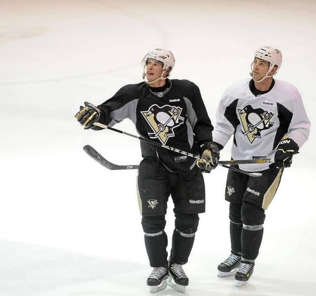 3557994_web1_ptr-penguins5-010813