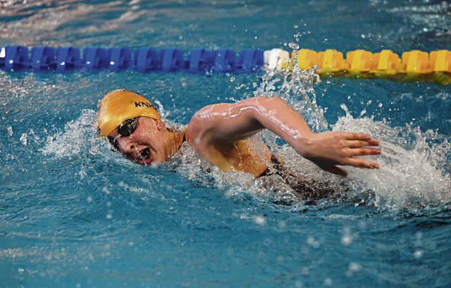 Norwin notebook: Swim teams have season to remember