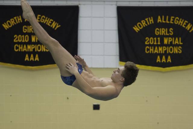 Fox Chapel’s Manelis, North Allegheny’s Shi repeat as WPIAL diving champs