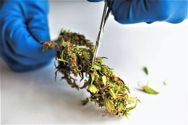 3519373_web1_nj-RossMarijuanaDispensary2-031821