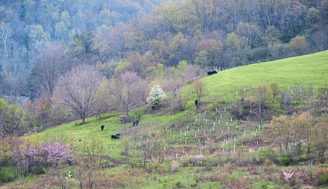 3590695_web1_gtr-LoyalWatershedFarm-020720
