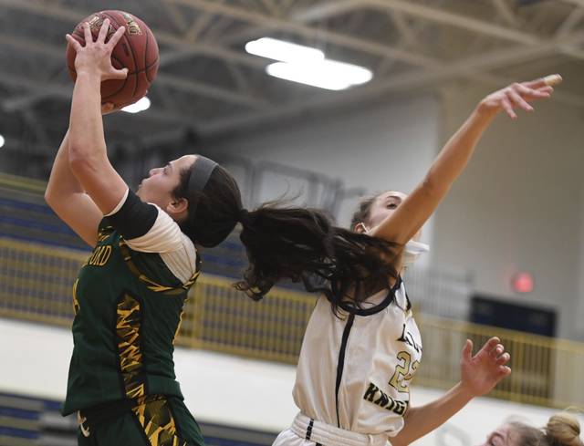 Penn-Trafford notebook: Warriors fall in girls basketball playoffs