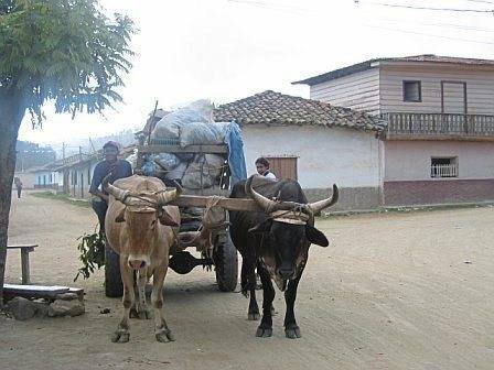 3596855_web1_ptr-PeaceCorps2-030321