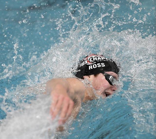 Fox Chapel swimmers lead A-K Valley contingent into WPIAL championship meet