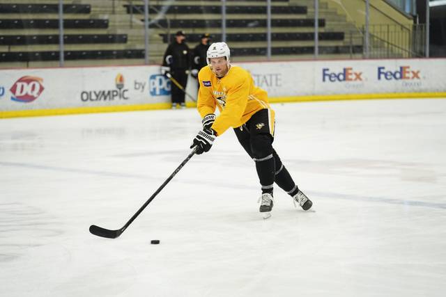 3609016_web1_gtr-Penguins07-030421