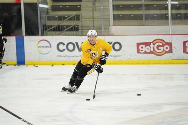 3616615_web1_gtr-Penguins05-030421