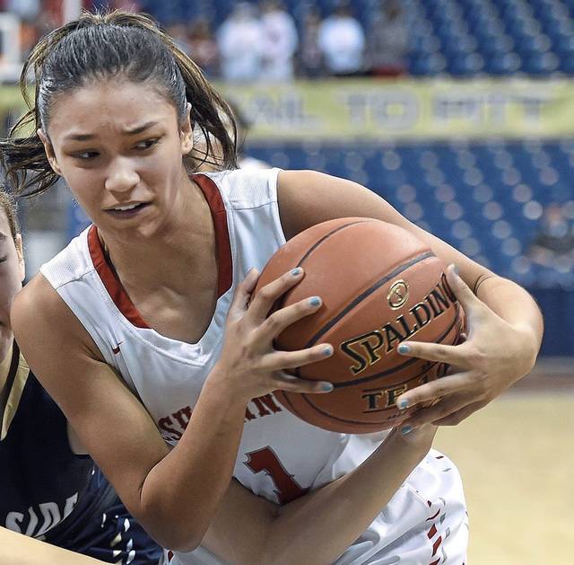 Neshannock turns up intensity, beats Sewickley Academy in Class 2A semifinals