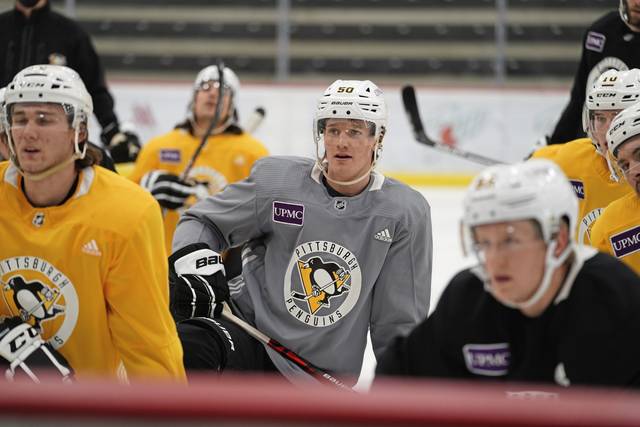 3621045_web1_gtr-Penguins04-022021
