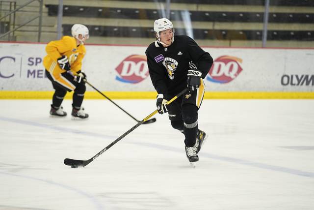 3623620_web1_gtr-Penguins07-022021