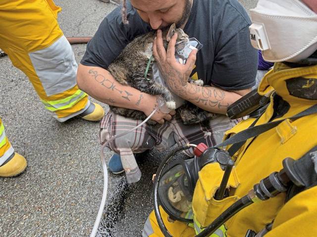 3631369_web1_ptr-HazelwoodFire20210312_0247