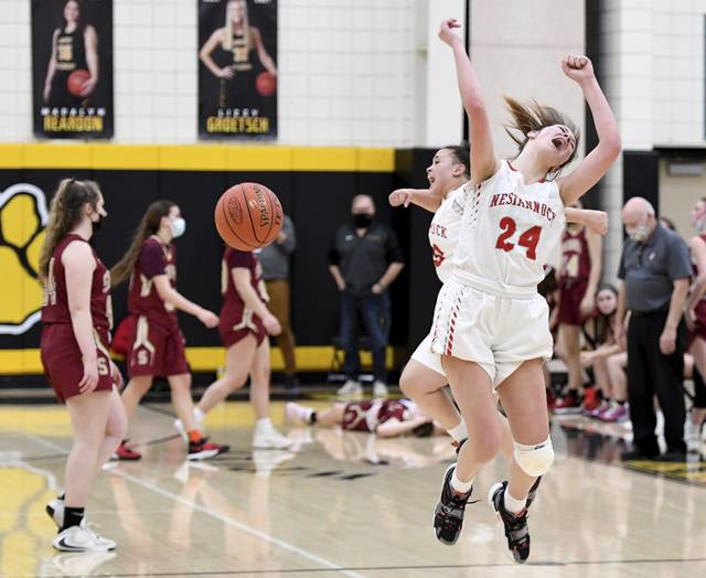 Neshannock stops undefeated Serra Catholic, wins 2nd WPIAL title in 3 years