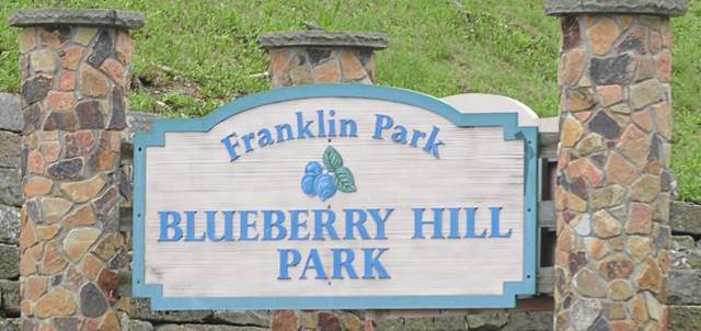 3633293_web1_WEB-blueberry-hill-park