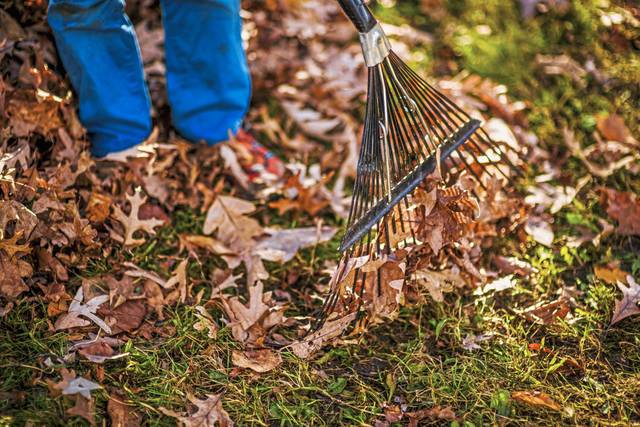 In brief: Spring leaf collection, Easter egg hunt and more in Pine, Richland