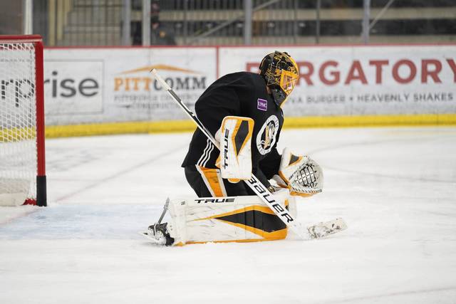 3643843_web1_gtr-Penguins01-011321