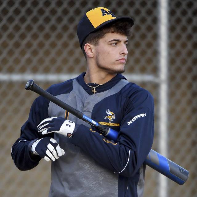 Behind solid pitching staff, Apollo-Ridge looks forward to new section format