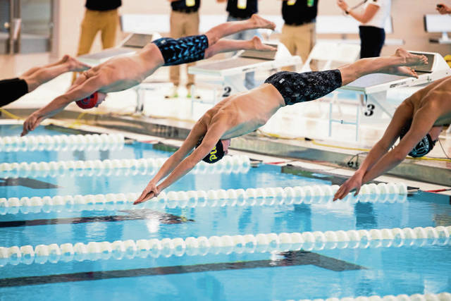 Plum swimmers perform well at PIAA meet