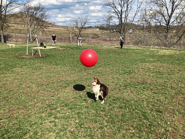 3673285_web1_PAL-SpringTimeFun3-040121