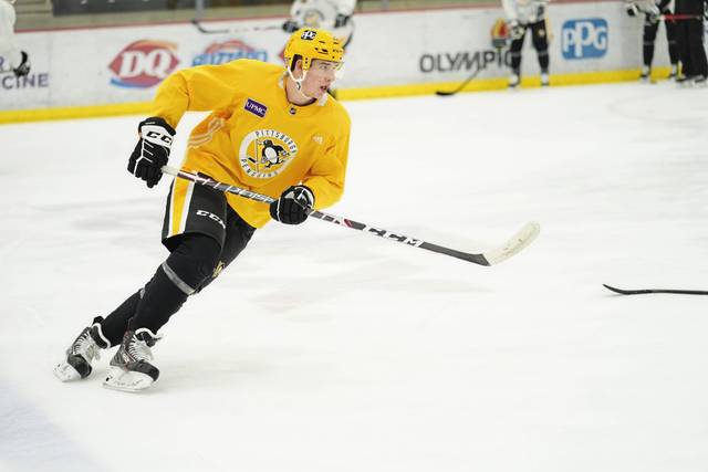 3675288_web1_gtr-Penguins04-012621