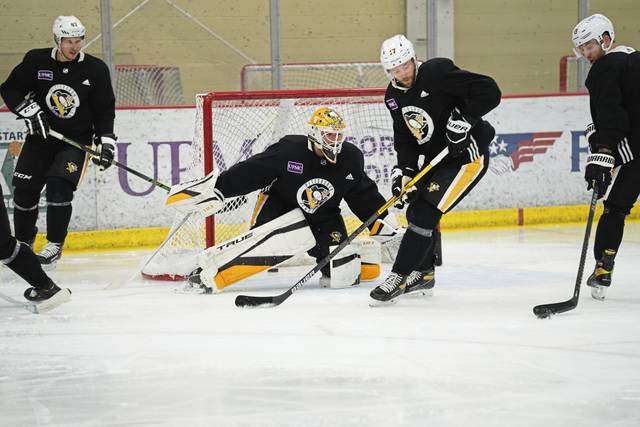 3694415_web1_gtr-Penguins05-021621