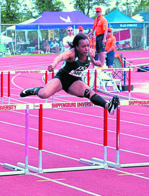 Pine-Richland track team boasts large crop of WPIAL, PIAA contenders