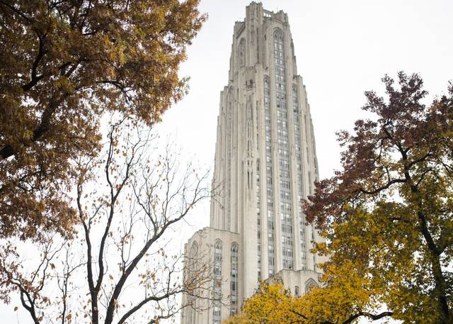 3705351_web1_PTR-Pitt002-111220
