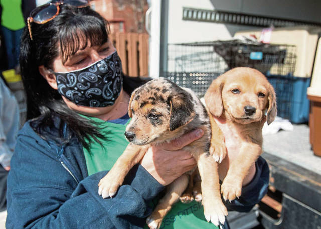 3707219_web1_vnd-DogRescueEvent006-040421
