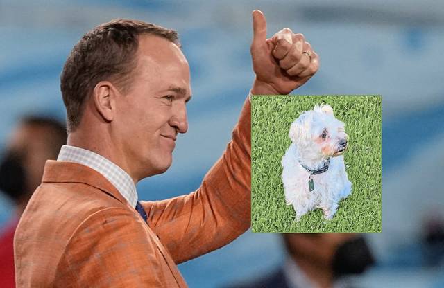 Peyton Manning checks up on namesake dog who escaped a bear’s jaws