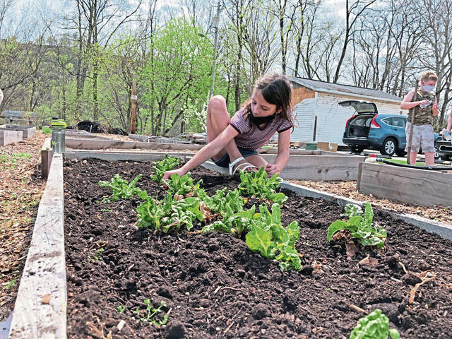 3732019_web1_vnd-gardenproject1-041121