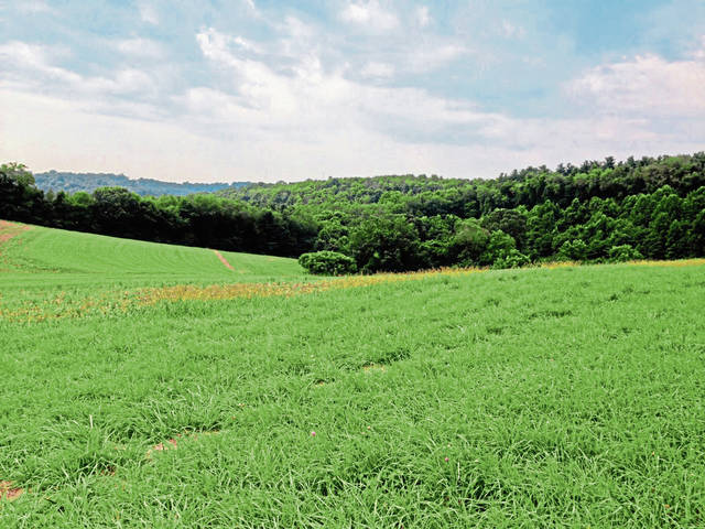 3760217_web1_gtr-HempLandTrust-091719