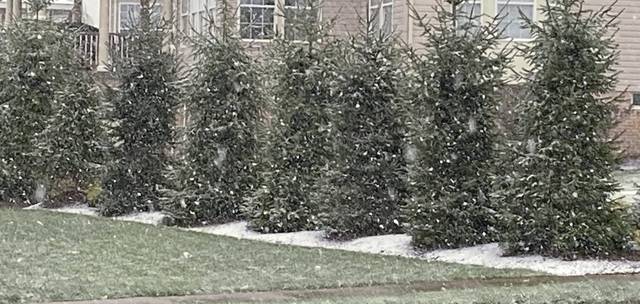 3766212_web1_ptr-AprilSnow02-042221