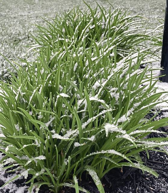 3766212_web1_ptr-AprilSnow03-042221